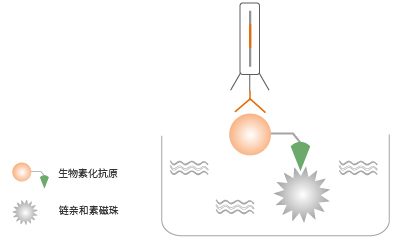 液相化抗原筛选法